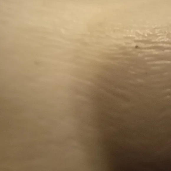 CollectA by Breyer Grey Arabian Mare - Picture 6 of 15